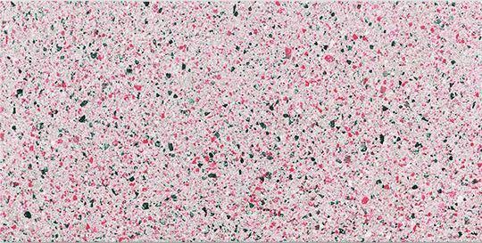 Frammento_MicroRose