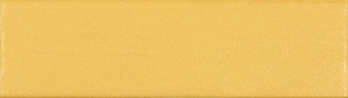 Intent_Marigold