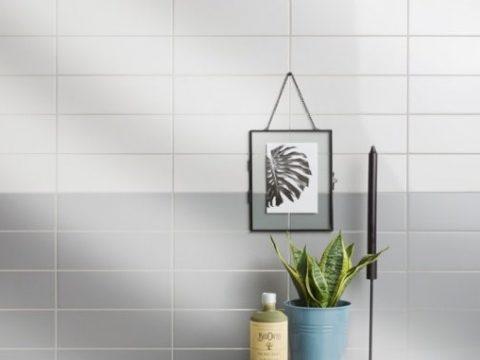 white tiled wall with picture and plant