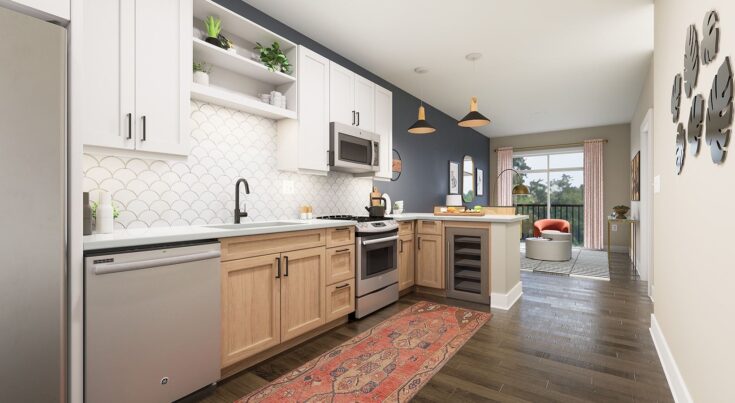 Broadstone_Centennial_Kitchen_Mosaic02