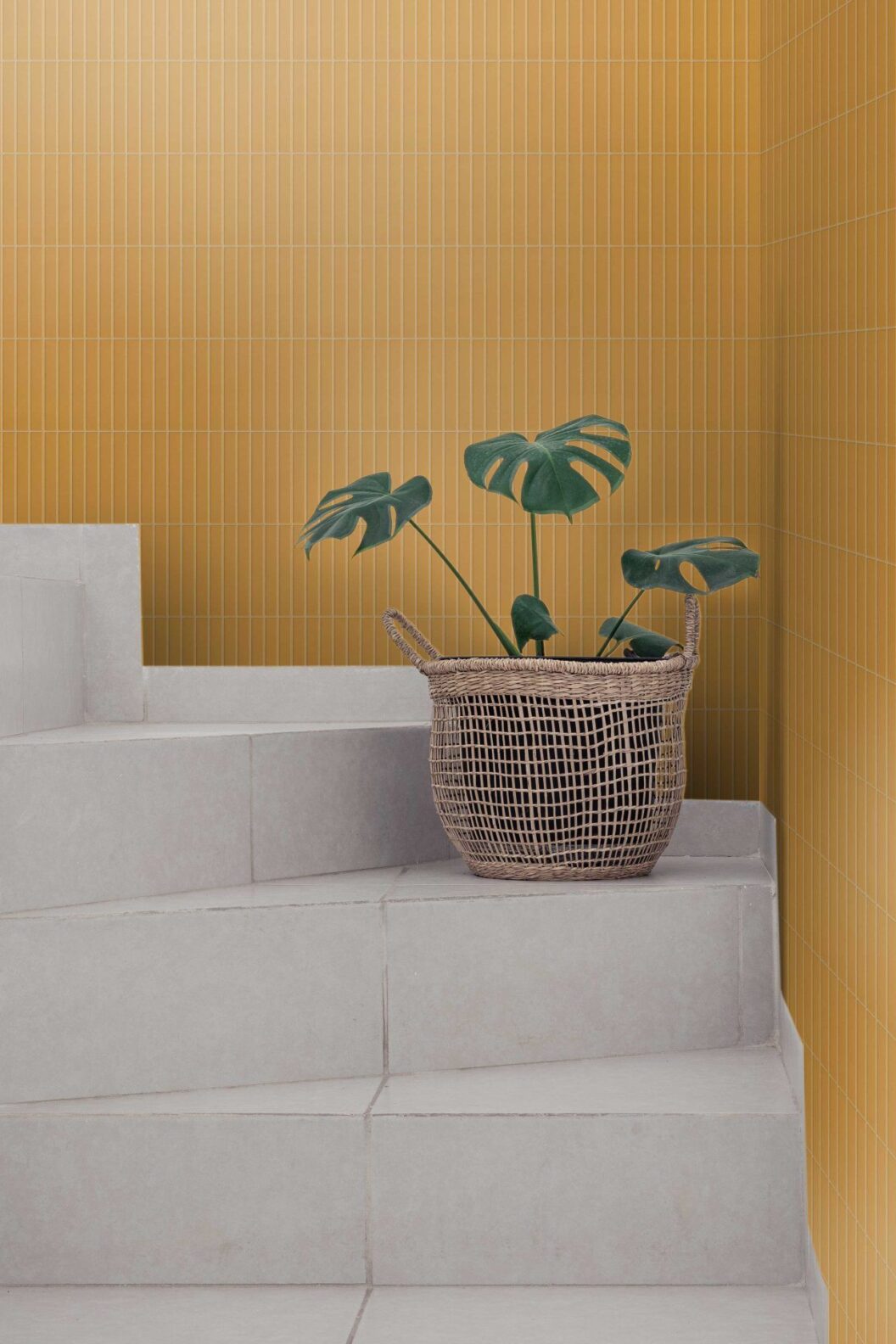 Placid_YellowStackedMosaic_Install