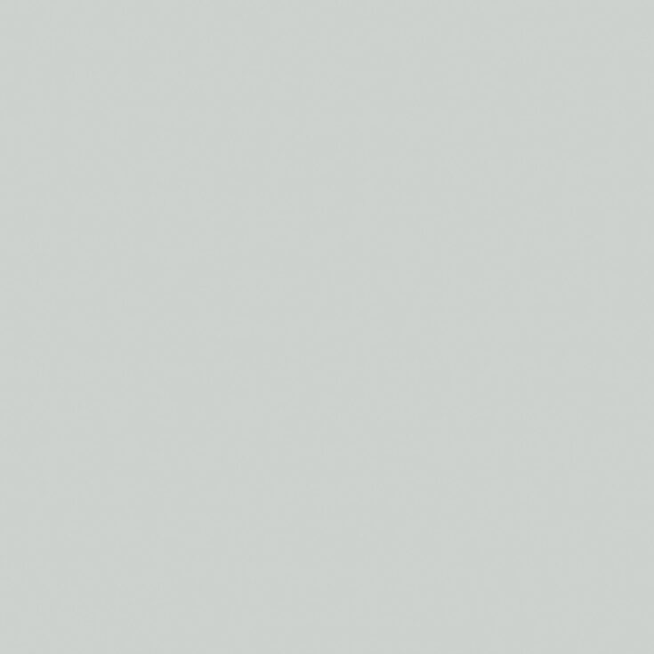 Solid_Void_Mint