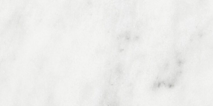 SymphonyofMarbles_BiancoVenatino