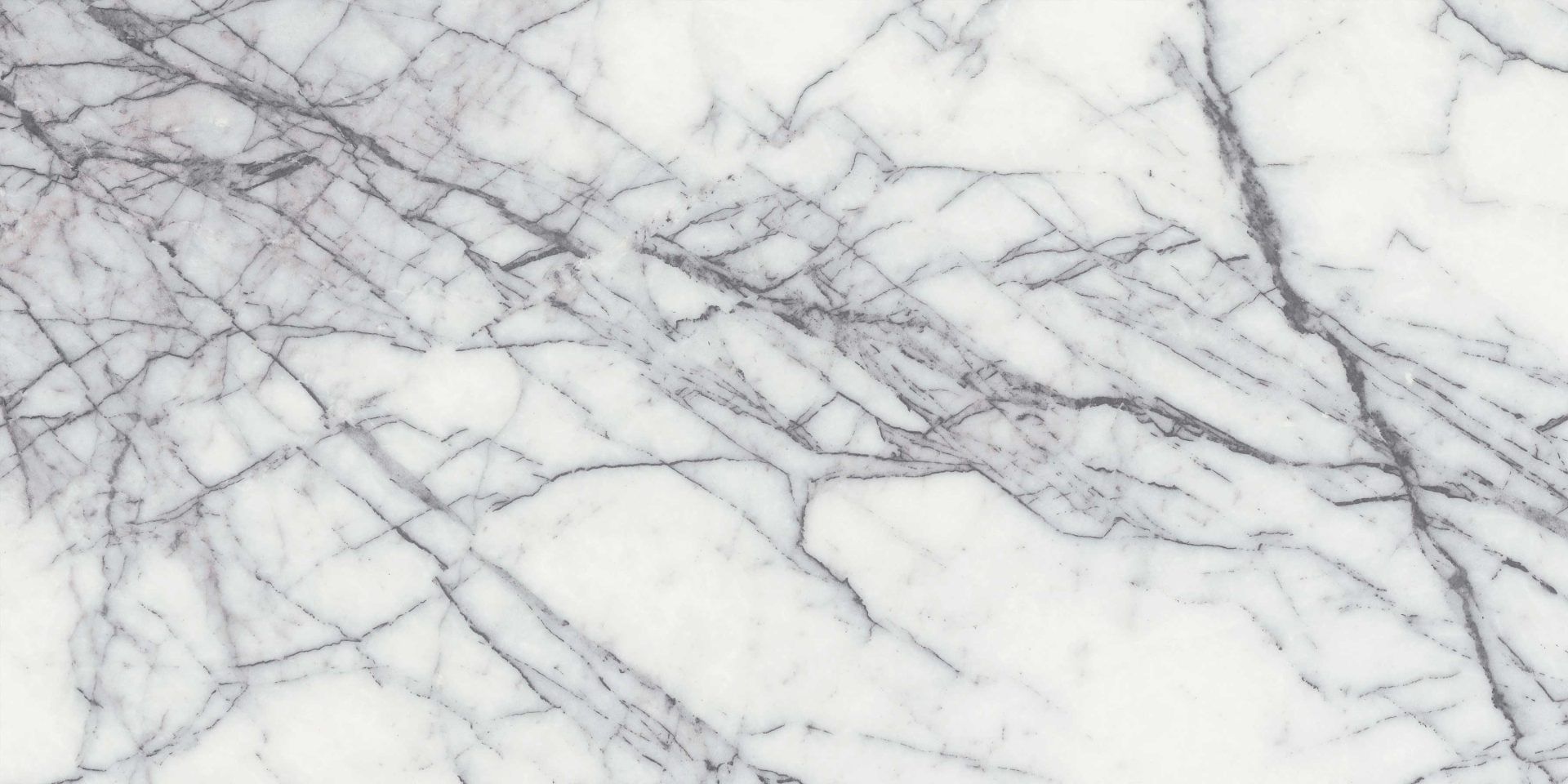 SymphonyofMarbles_CalacattaLIlac