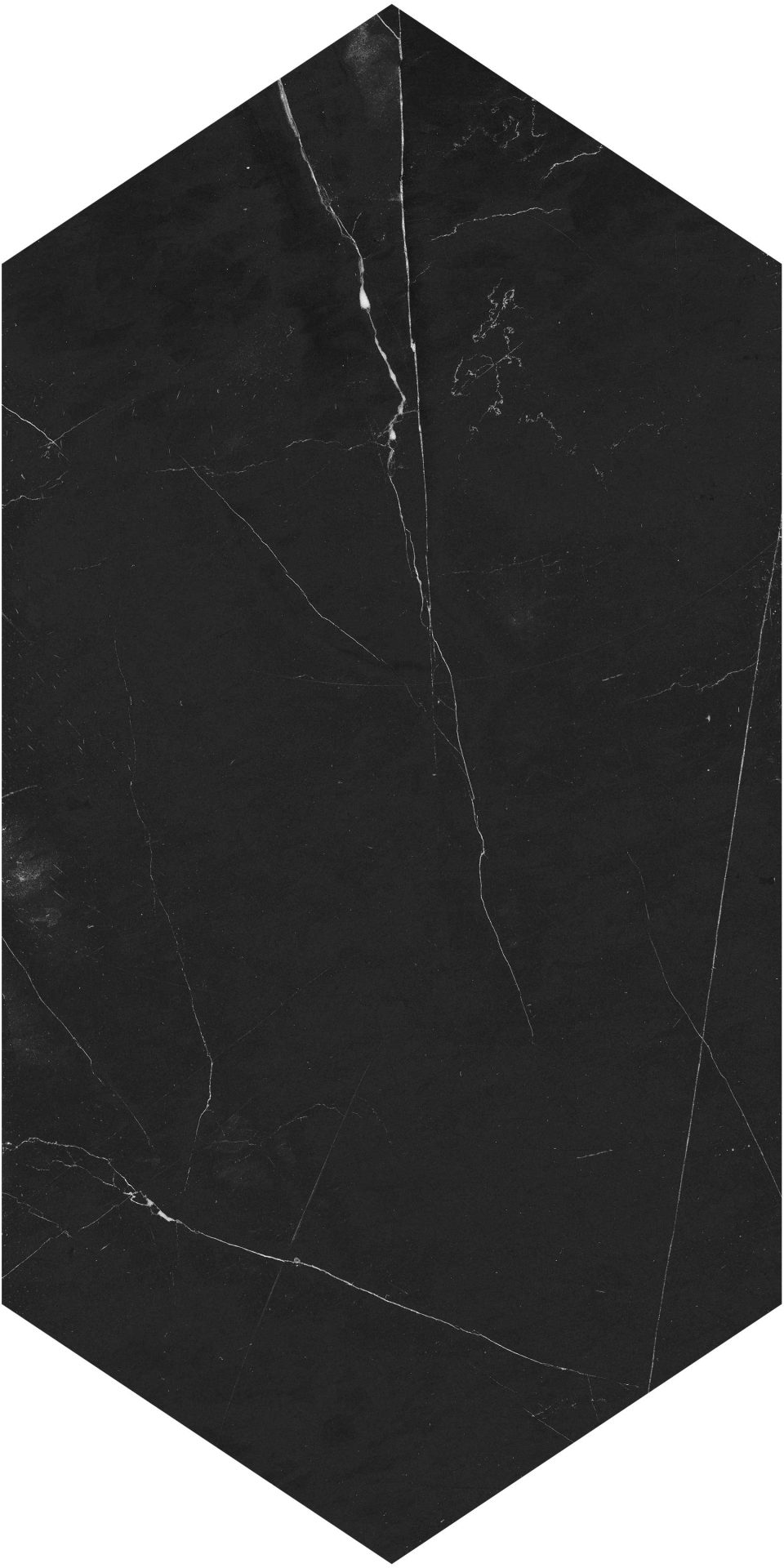 SymphonyofMarbles_NeroMarquina_Picket
