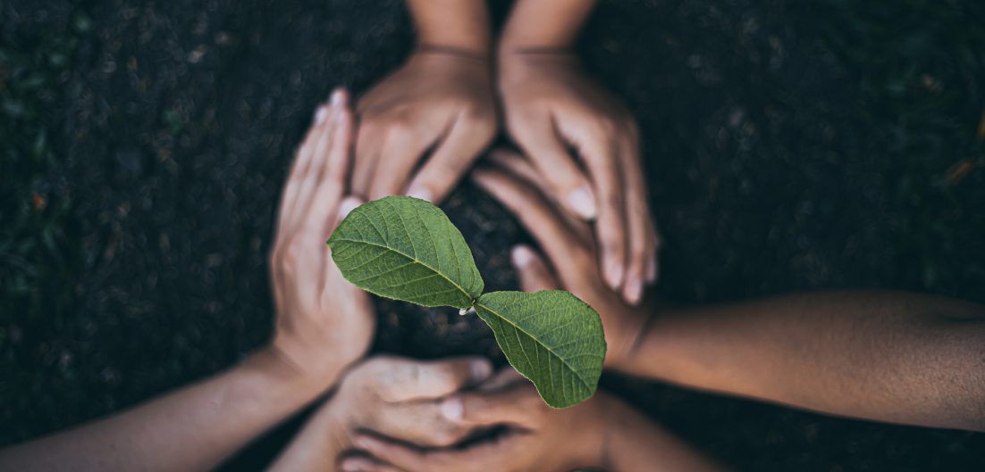 Mindful Materials_header