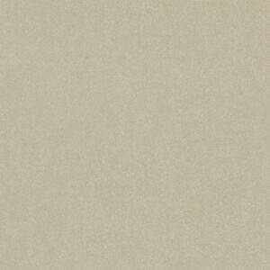 Dualities_White