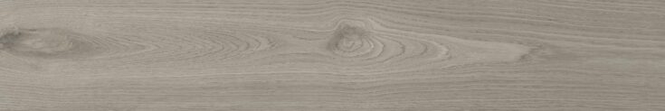 Woodlot_Ash