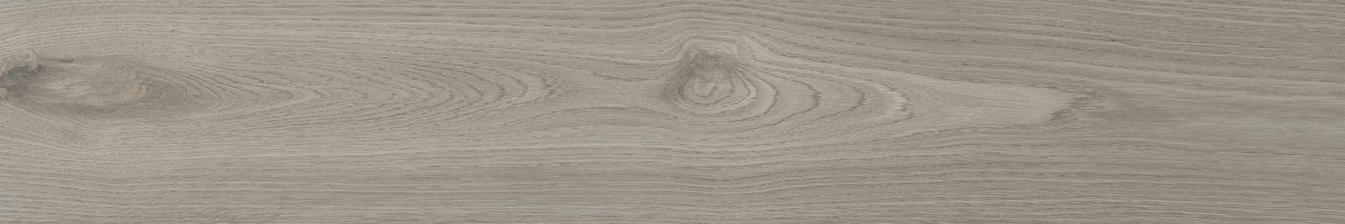 Woodlot_Ash
