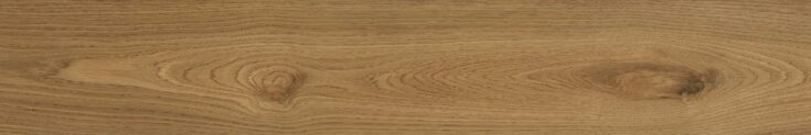 Woodlot_Honey