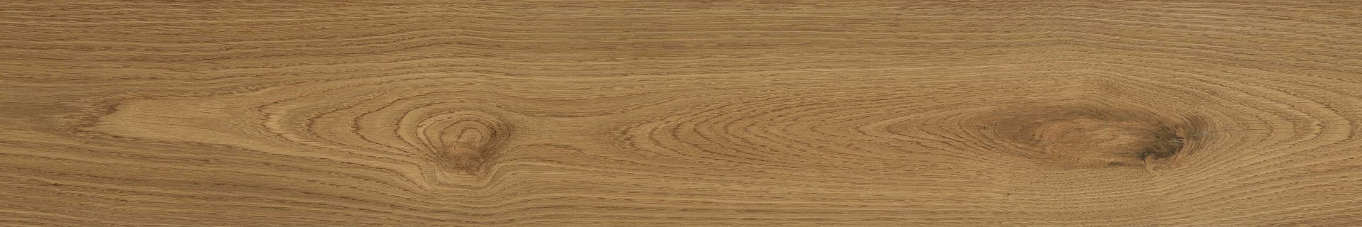 Woodlot_Honey