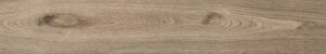 Woodlot_Natural