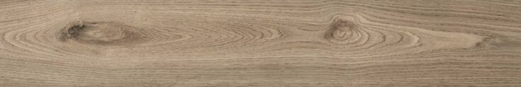 Woodlot_Natural
