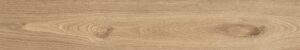 Woodlot_Pine