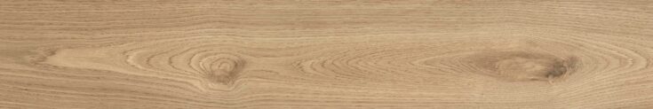 Woodlot_Pine