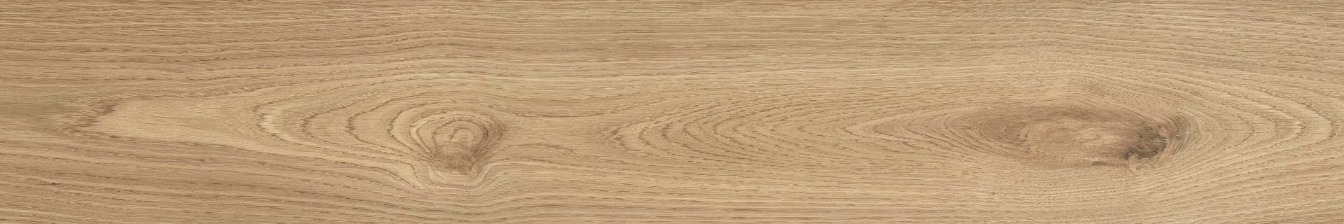 Woodlot_Pine