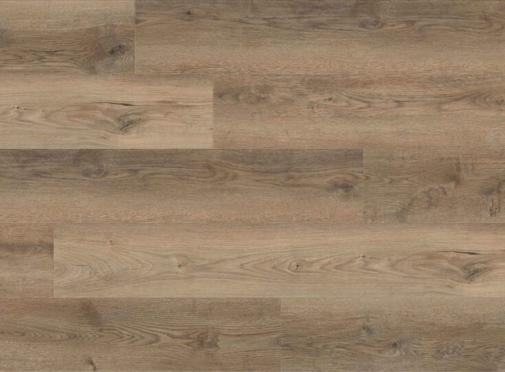 Anchor_Walnut