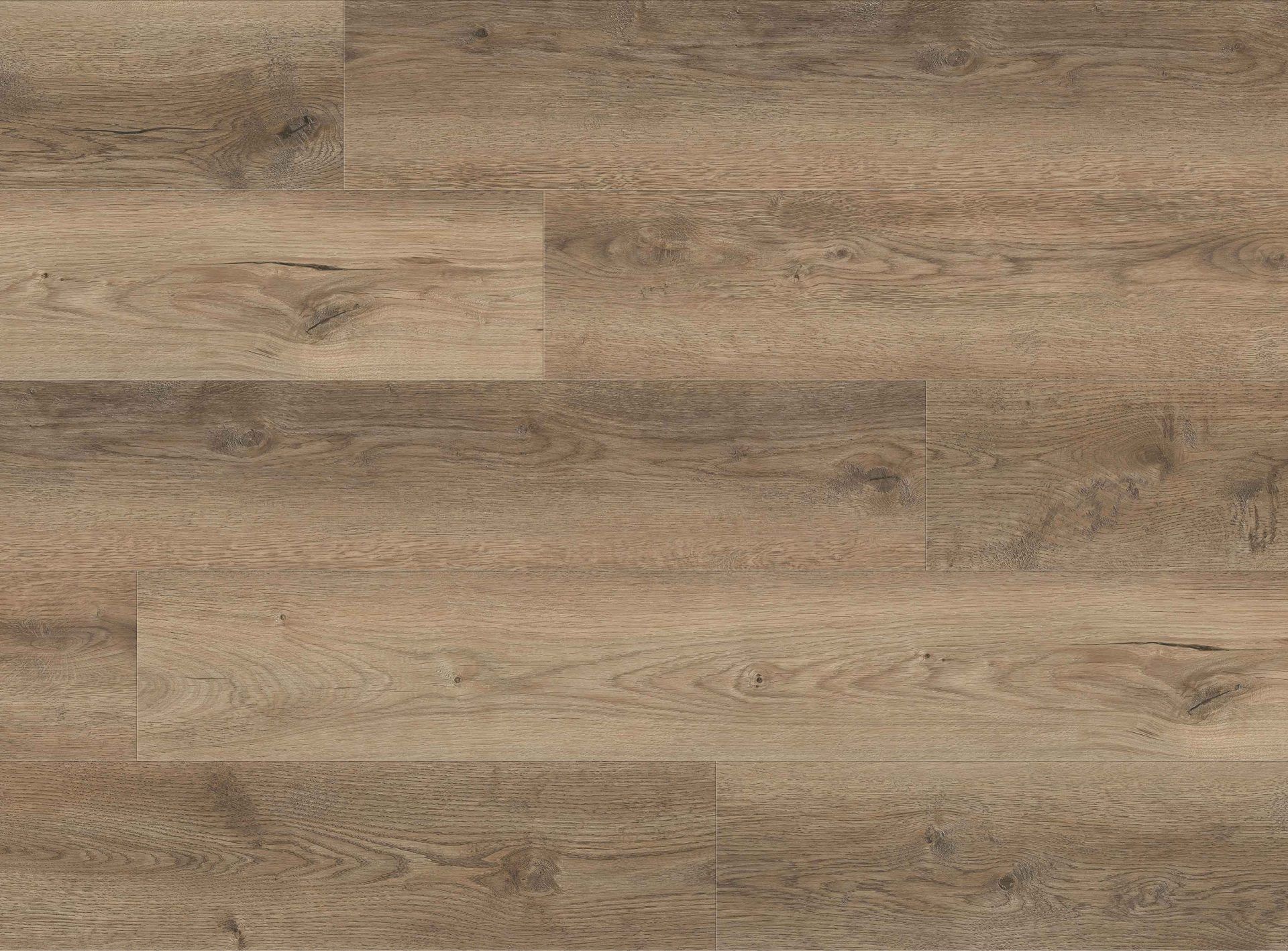 Anchor_Walnut