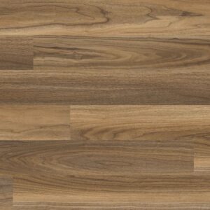 Canopy_Cedar