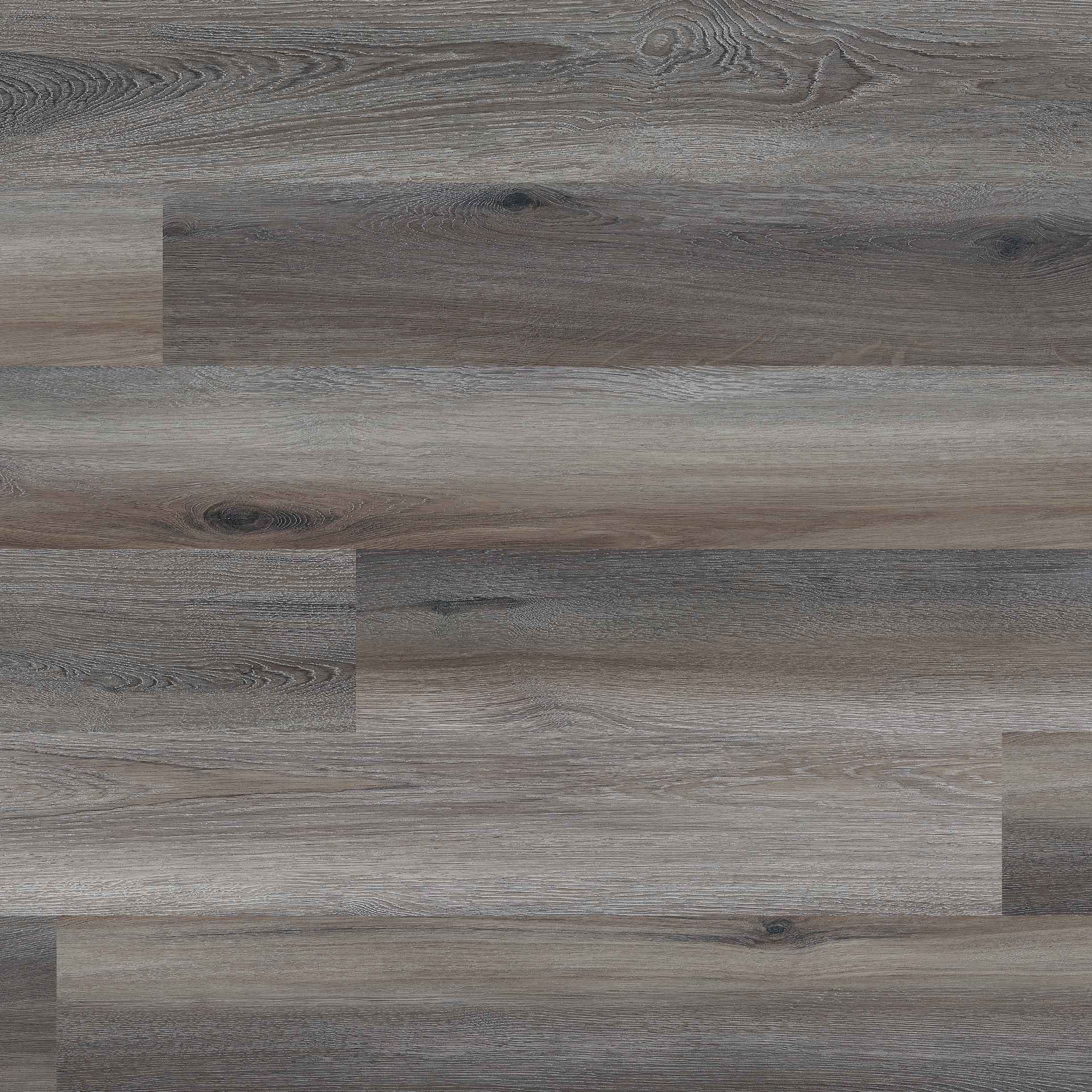 Canopy_GreyStainedMaple