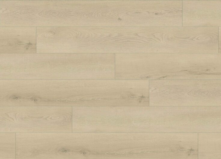 Woodshop_Sunwashed