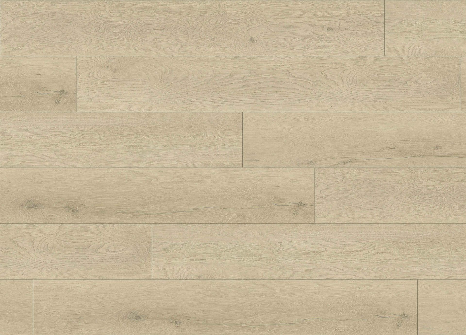 Woodshop_Sunwashed