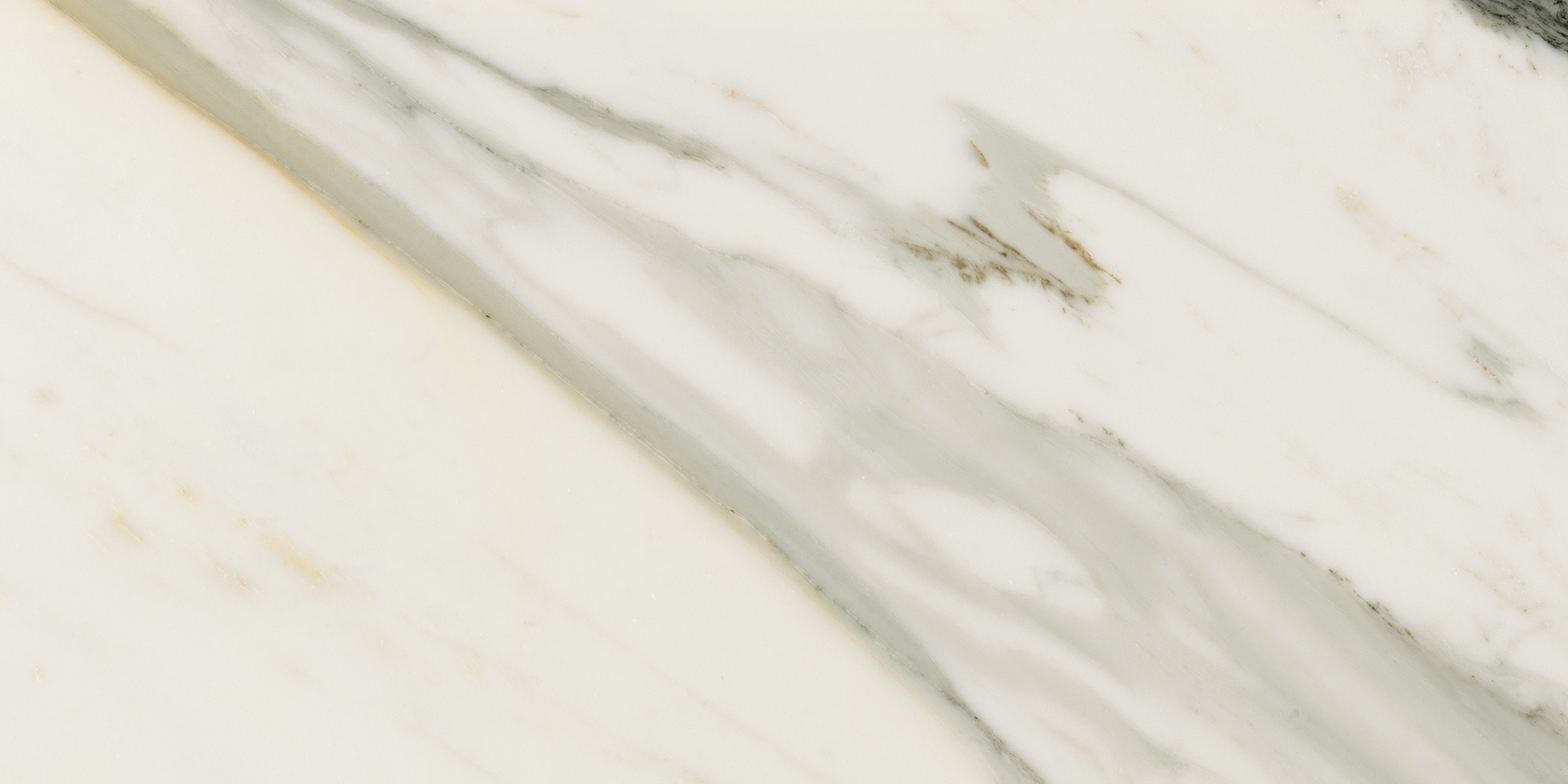 Symphony_CalacattaGold2