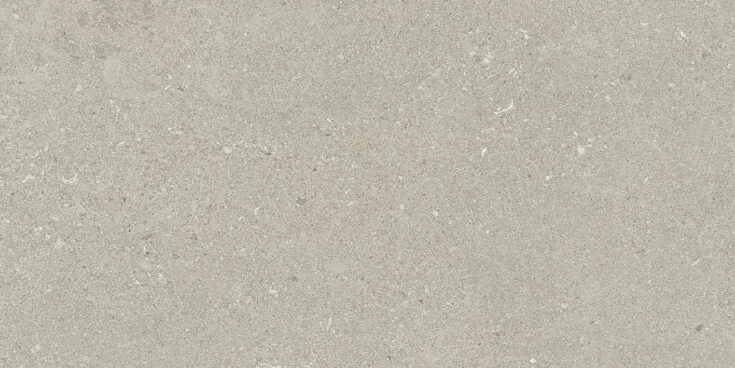 Sedimento_LightGrey
