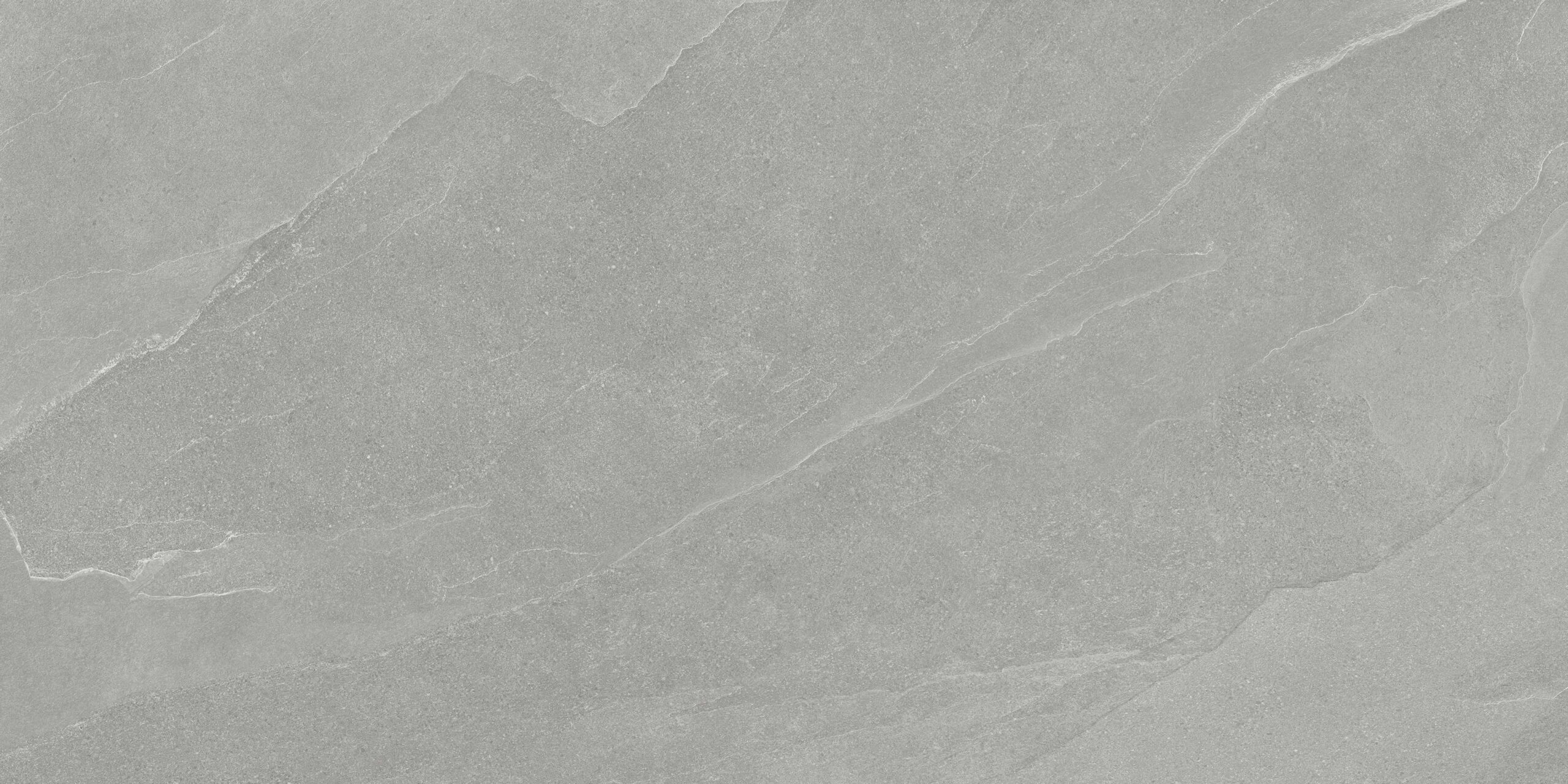 Foliation_Grey