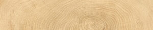 Rings_Oak