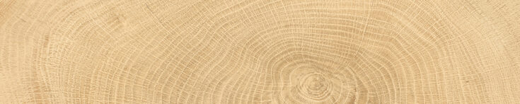 Rings_Oak