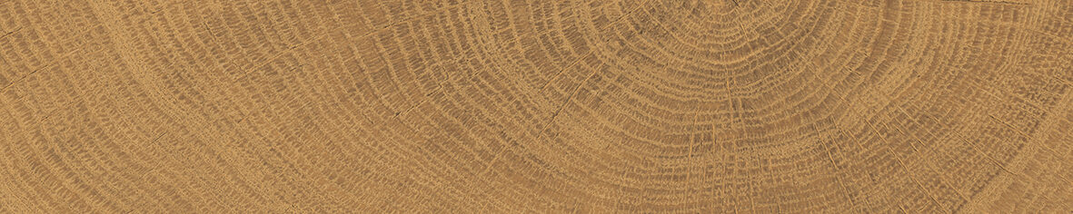 Rings_Walnut