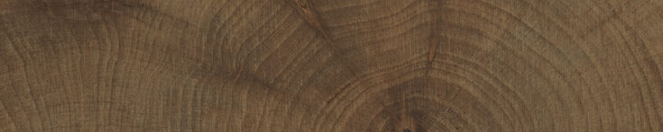 Rings_Wenge