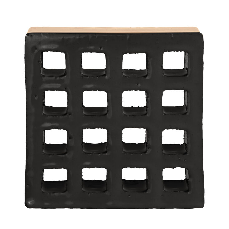 Trellis_BlackWaffle